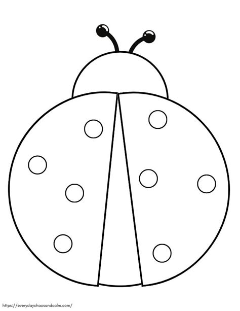 pic of ladybug|free printable ladybug images.